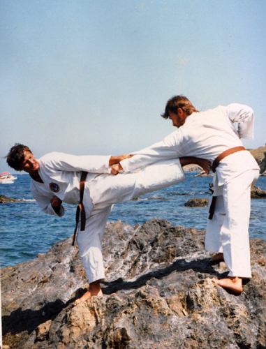 Ushiro Geri